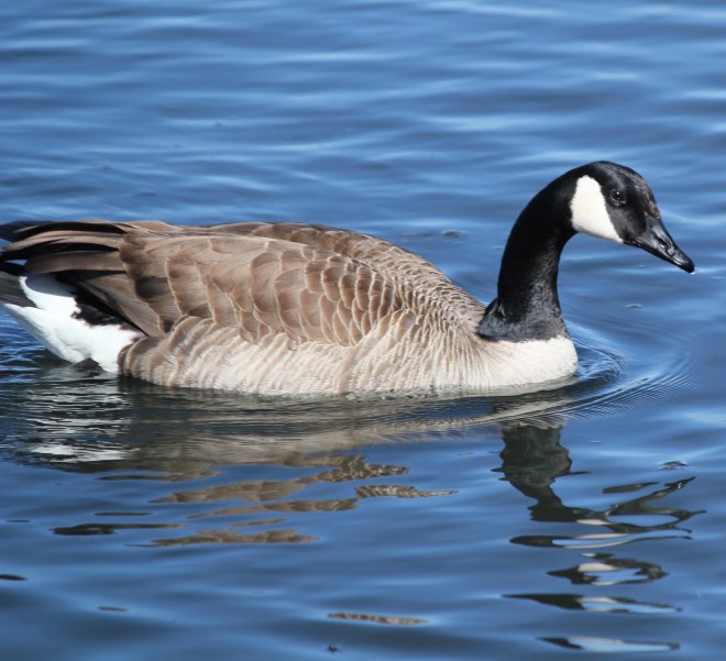 IMG_2085 - Version 2