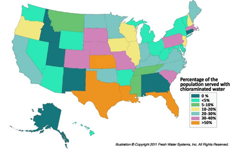 Chloramide Nation