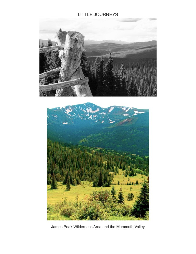 CORONA PASS_Page_7.jpg