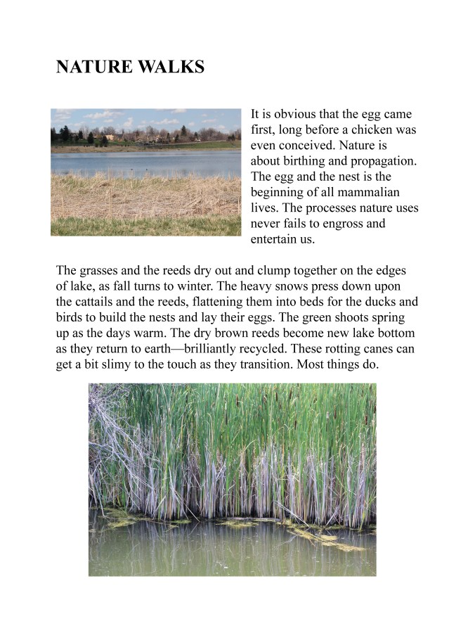 NATURE WALK copy _Page_1