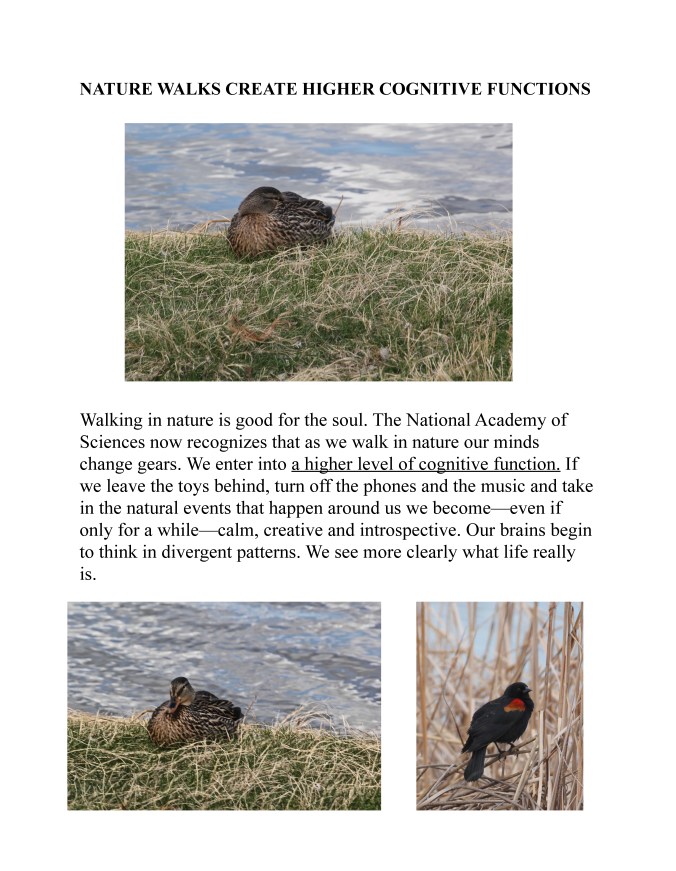 NATURE WALK copy _Page_5