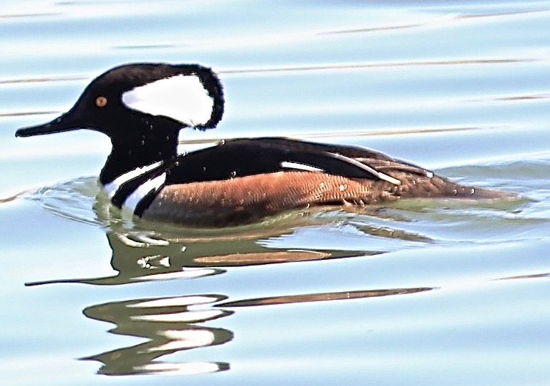 IMG_2077 - Version 2