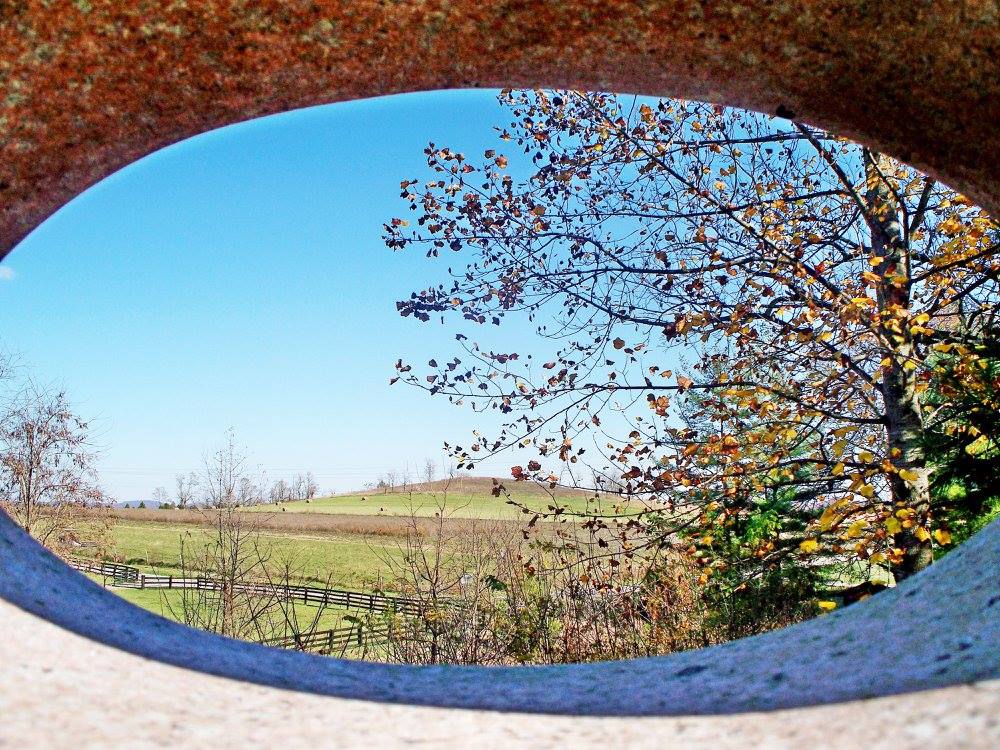 13641111_1179899395385394_2565236089948393403_o