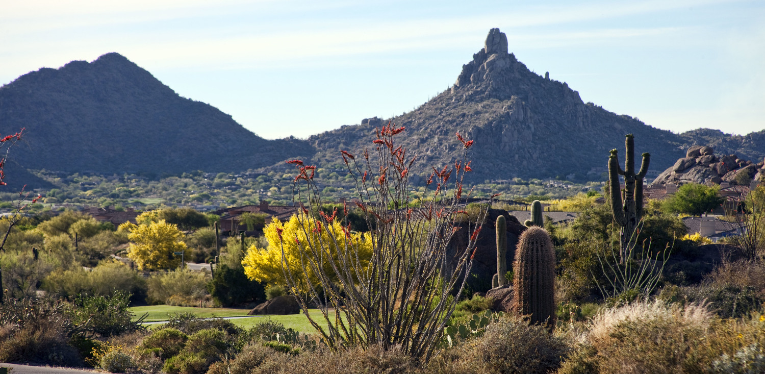 Pinnacle+Peak+Ocotillo