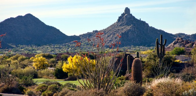 Pinnacle+Peak+Ocotillo