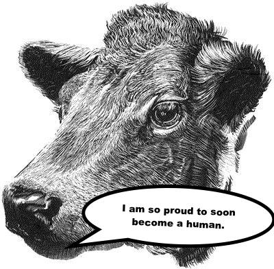 COW TO HUMAN